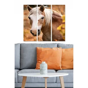 Tavla Animal 3-pack Flerfärgad 20x50 cm - Inredning Erbjudande