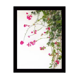 Begränsat antal Inramad Canvastavla i trä - 41x56 cm - Färgglada blommor av bougainvillea som klättrar längs en gren Rosa / Grön - Inredning