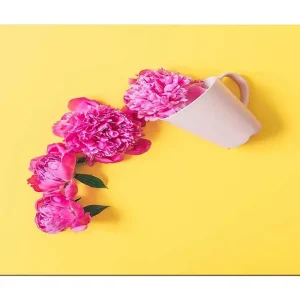 Lägg i varukorgen Canvastavla 70x100 cm - Vacker komposition av rosa pioner som hänger över en vit kopp Rosa / Gul - Inredning