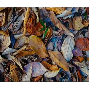Nedsatt pris Dekorativ Canvastavla 50x70 cm Flerfärgad - Inredning