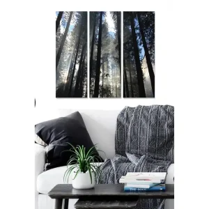 Lägg i varukorgen Canvastavla i trä 3-delar 50x70 cm - Höga träd som sträcker sig mot en dimmig himmel Mörkgrön / Svart / Ljusblå - Inredning