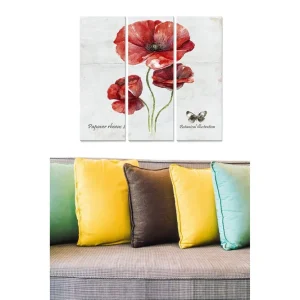 Canvastavla i trä 3-delar 50x70 cm - Röd vallmo med botanisk illustration Röd / Grön / Beige - Inredning Handla nu
