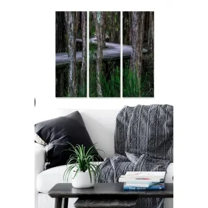 Canvastavla Scenic 3-pack Flerfärgad 20x50 cm - Inredning Snabb frakt
