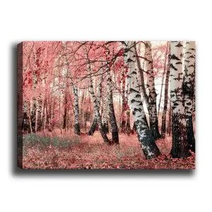 Säker betalning Canvastavla 70x100 cm - Drömlik skog med björkar omgivna av rosa och röda löv Rosa / Vit / Svart - Inredning
