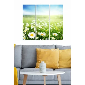 Canvastavla i trä 3-delar 50x70 cm - Blomstrande äng med prästkragar Grön / Vit / Blå - Inredning Outlet