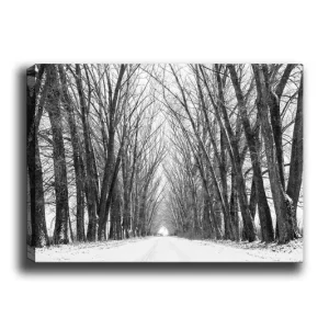 Canvastavla 70x100 cm - Vinterväg omgiven av nakna träd som skapar en stämningsfull och stillsam atmosfär Svart / Vitt / Grått - Inredning risnedsättning