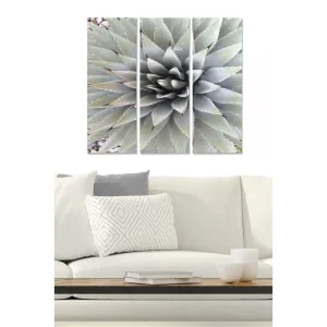 Nyhet Canvastavla i trä 3-delar 50x70 cm - Symmetrisk komposition av agaveblad Grön / Grå / Beige - Inredning