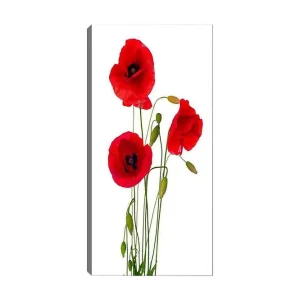 Utförsäljning Canvastavla DKY Floral & Botanical Flerfärgad - Inredning & dekor