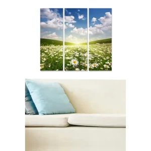 Kampanjpris Canvastavla i trä 3-delar 50x70 cm - Blomstrande äng med prästkragar under en klar himmel Grön / Blå / Vit - Inredning