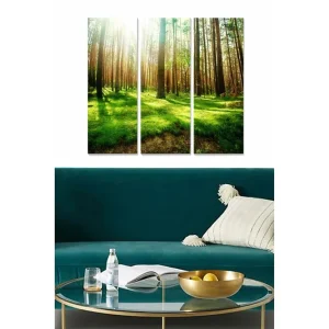 Trygg betalning Canvastavla i trä 3-delar 50x70 cm - Lummig skog med höga träd och solstrålar som filtreras genom grenarna Grön / Brun / Gul - Inredning