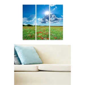 Sänkt pris Canvastavla i trä 3-delar 50x70 cm - Blomstrande äng med röda och vita blommor under en klar blå himmel Grön / Blå / Röd - Inredning