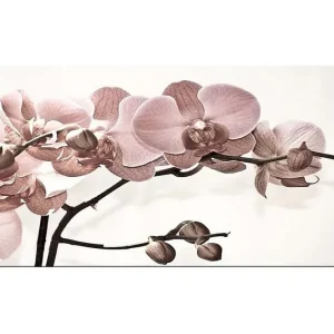 Begränsat erbjudande Canvastavla YTY Floral & Botanical Flerfärgad - Inredning & dekor