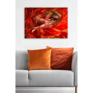 Dekorativ Canvastavla 50x70 cm Flerfärgad - Inredning Populär