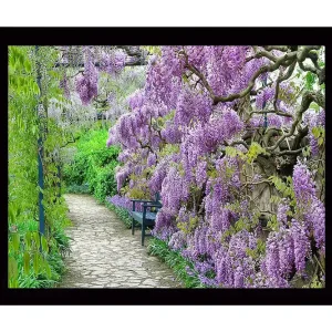 Beställ nu Inramad Canvastavla i trä - 41x56 cm - Lummig gång med blommande wisteria i lila nyanser Lila / Grön - Inredning