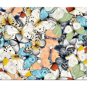 Canvastavla 70x100 cm - Färgglad samling av fjärilar i olika mönster och färger Blå / Vit / Orange - Inredning Trygg betalning