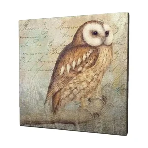 Canvastavla 45x45 cm - Uggla med detaljerad fjäderdräkt Beige / Brun / Ljusblå - Inredning Nedsatt pris