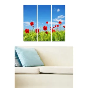Canvastavla i trä 3-delar 50x70 cm - Röd vallmo i en grön äng under en klarblå himmel Röd / Grön / Blå - Inredning Billigare