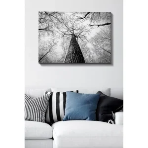 Canvastavla 70x100 cm - Svartvit bild av ett träd som sträcker sig upp mot en ljus himmel, sedd från marken Svart / Vitt / Grått - Inredning Begränsad tid