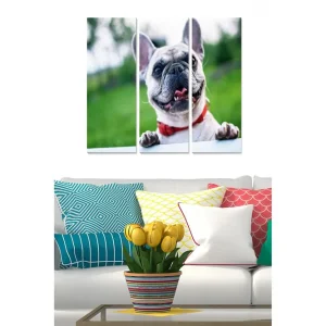 Snabb leverans Canvastavla Animal 3-pack Flerfärgad 20x50 cm - Inredning
