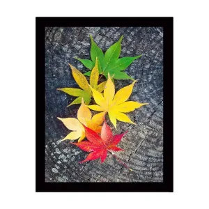 Inramad Canvastavla i trä - 41x56 cm - Färgglada höstlöv på en träyta Grön / Gul / Röd - Inredning Billigare