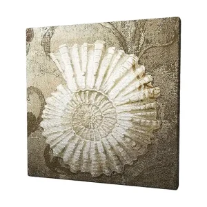 Populärt val Canvastavla 45x45 cm - Snäcka med detaljerad struktur på en mjuk bakgrund Vit / Beige / Grå - Inredning