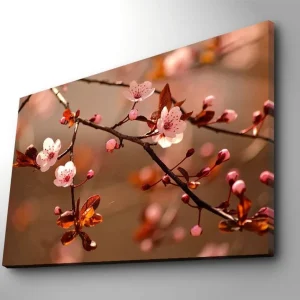 Canvastavla 70x100 cm - Blommande körsbärsgrenar med rosa blommor och bruna blad Rosa / Brun - Inredning risnedsättning