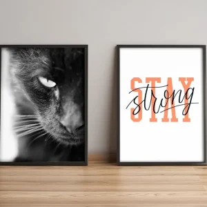 Tavla Animal med Ram 2-pack Flerfärgad 36x51 cm - Inredning Beställ nu