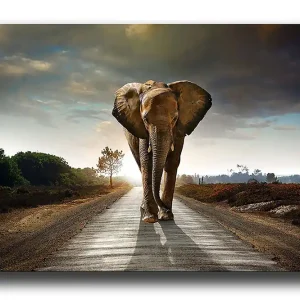 Decorative Canvas Painting 70x100 - Inredning Nyhet