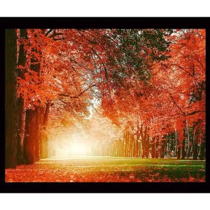 Utförsäljning Inramad Canvastavla i trä - 41x56 cm - Lummig skog med sprakande höstfärger Orange / Grön - Inredning
