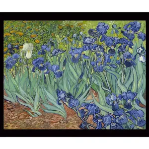 Kampanj Inramad Canvastavla i trä - 41x56 cm - Färgrik samling av irisblommor Blå / Grön / Brun - Inredning