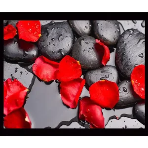 Inramad Canvastavla i trä - 41x56 cm - Svart stenar med röda rosenblad och vattendroppar Röd / Svart - Inredning risnedsättning