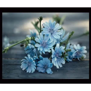 Inramad Canvastavla i trä - 41x56 cm - Blommor i mjuka blå nyanser Ljusblå / Grön - Inredning Begränsad tid