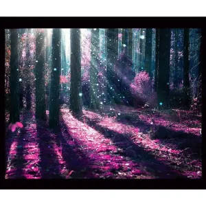 Inramad Canvastavla i trä - 41x56 cm - Mystisk skog med lila och blå ljusstrålar Lila / Blå - Inredning Billigare