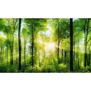 Säker betalning Tavla Forest 50x125 cm - Inredning