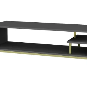 Nedsatt pris Andifli Tv-bänk 120x37,6 cm Guld - Möbler