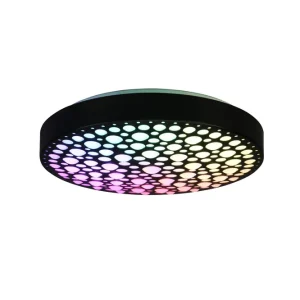 Kampanjpris Trio Lighting Chizu LED Plafond svart RGB Svart - Belysning