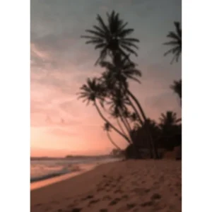 Endast denna vecka Venture Home Poster Summer 50x70 cm Rosa - Inredning