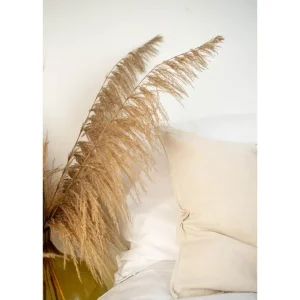 Utförsäljning Venture Home Poster Bohemian 50x70 cm Beige - Inredning