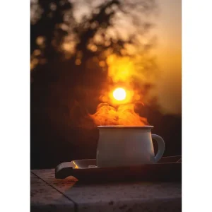 Venture Home Poster Morning coffee 50x70 cm Orange/Svart - Inredning Bästa pris