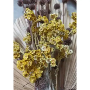 Venture Home Poster Bouquet 21x30 cm Grön/Gul - Inredning Outlet