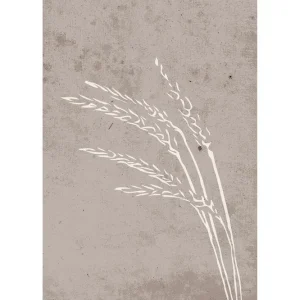 Venture Home Poster Seeds 50x70 cm Beige - Inredning Köp online