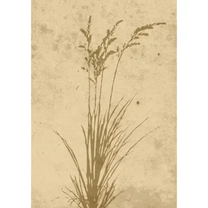 Venture Home Poster Plant art 21x30 cm Beige - Inredning Populärt val