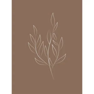 Venture Home Poster Drawed leaf 30x40 cm Brun - Inredning Nyhet