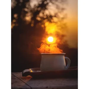 Venture Home Poster Morning coffee 30x40 cm Orange/Svart - Inredning Snabb frakt