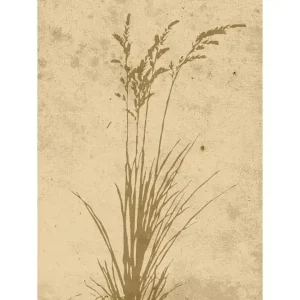 Trygg betalning Venture Home Poster Plant art 30x40 cm Beige - Inredning