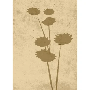Expressleverans Venture Home Poster Flower art 50x70 cm Beige - Inredning