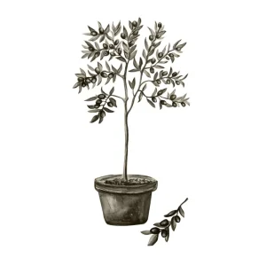 Venture Home Poster Olive 30x40 cm Vit/Grön - Inredning Lågt pris