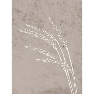 Venture Home Poster Seeds 30x40 cm Beige - Inredning I lager