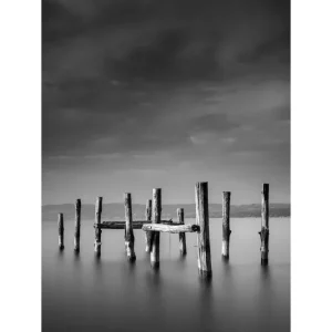 Venture Home Poster Ocean 30x40 cm Svart/Vit - Inredning Fynd