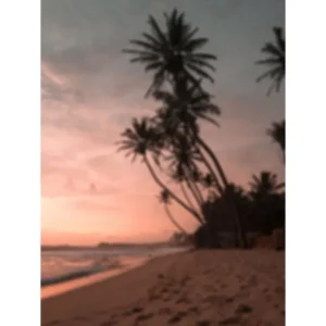 Venture Home Poster Summer 30x40 cm Rosa - Inredning Kampanj